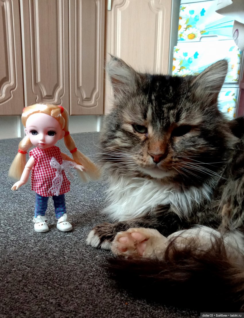 С праздниками! Лили в день 8 марта (фото 3)