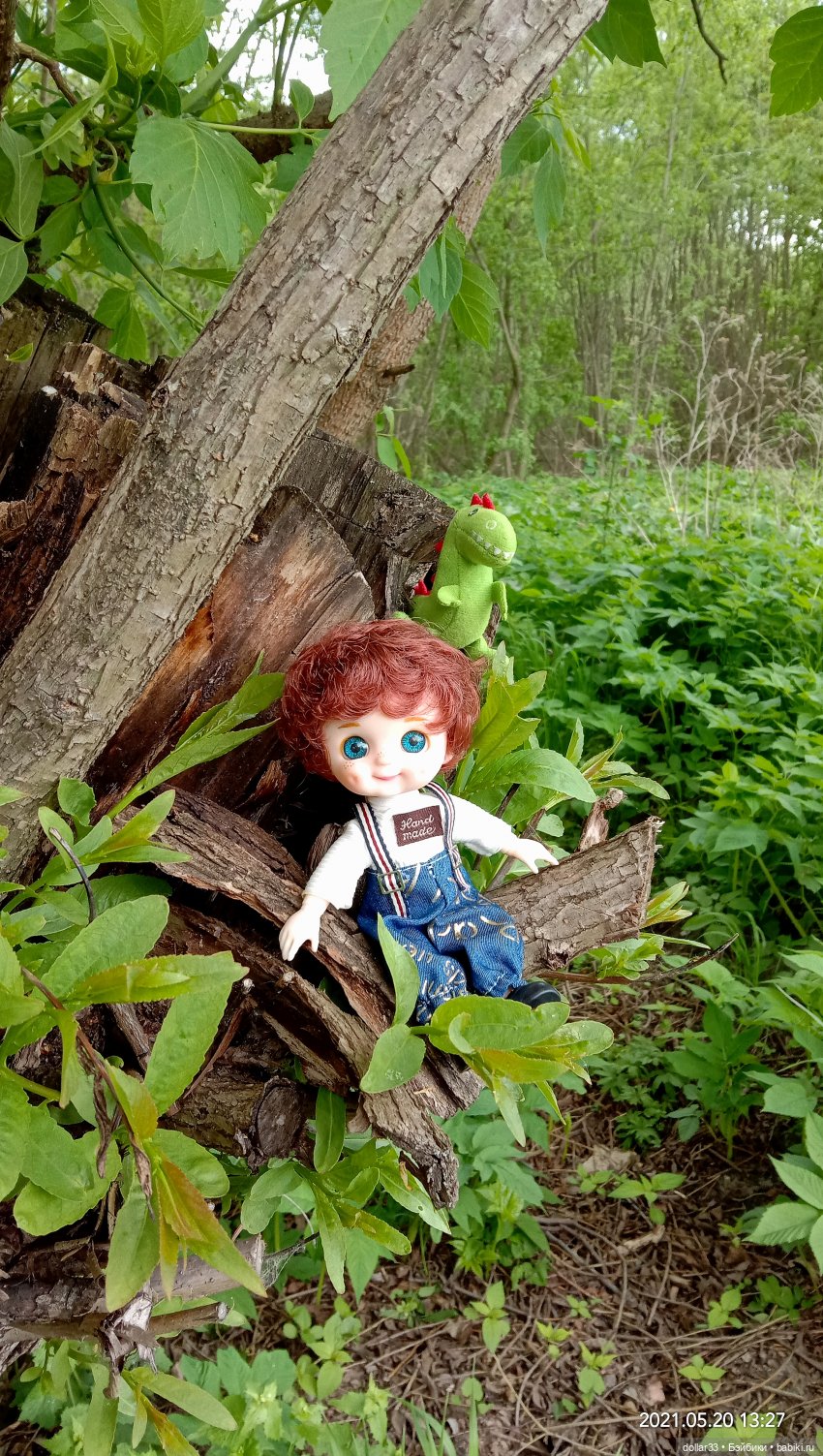 Мамин Львенок — Куклы Baboliy (Баболи