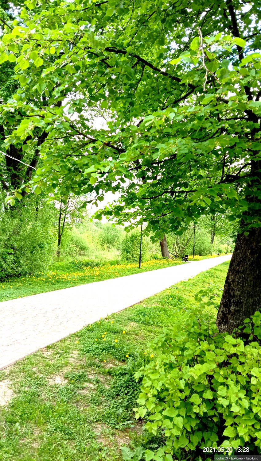 Мамин Львенок — Куклы Baboliy (Баболи