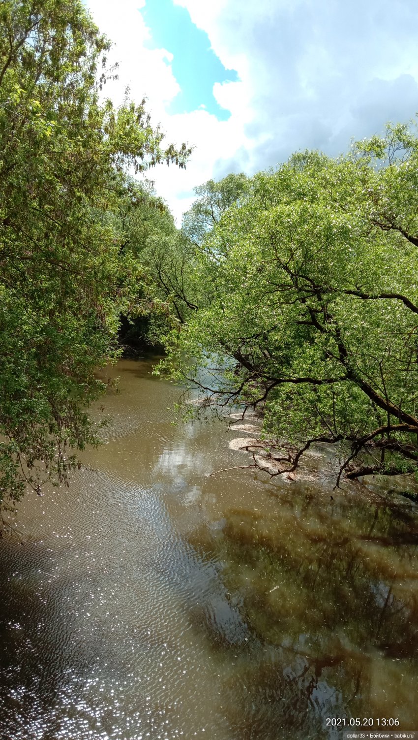 Мамин Львенок — Куклы Baboliy (Баболи