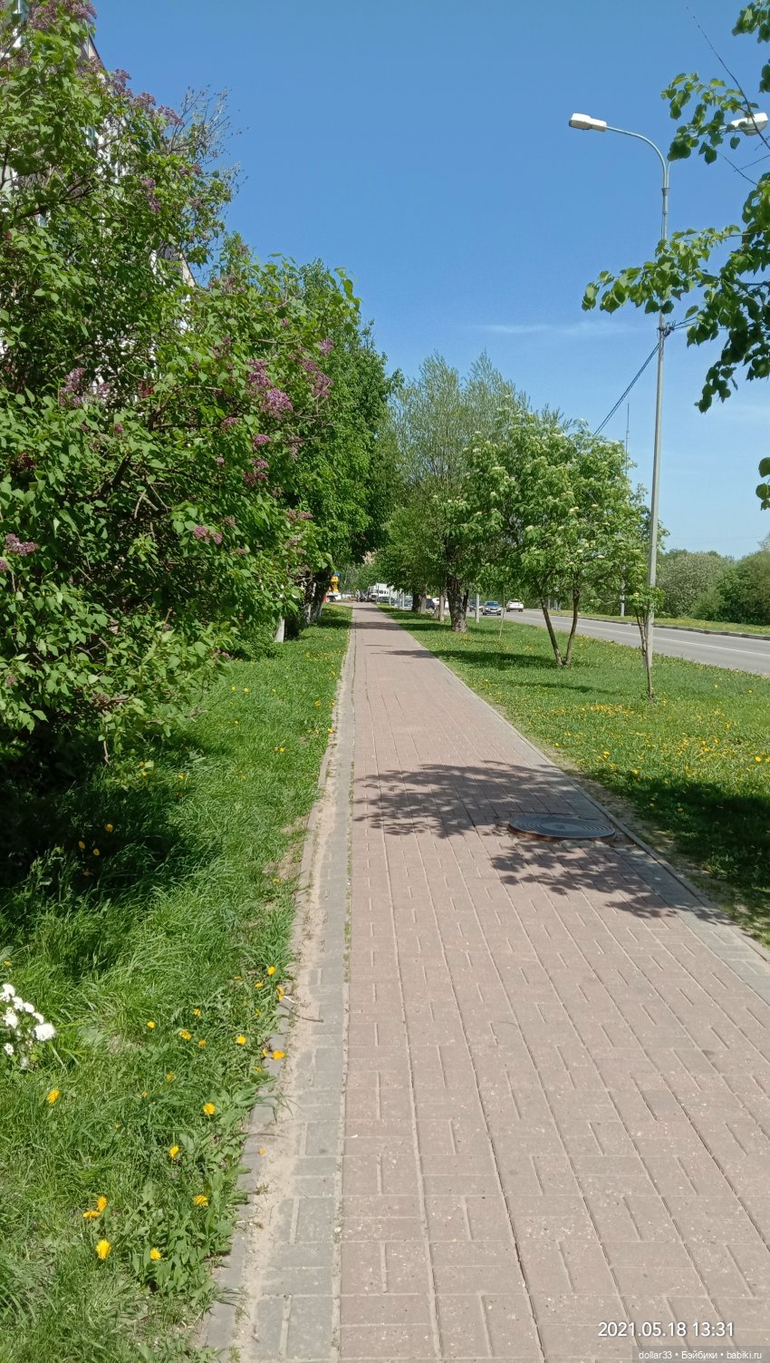 Мамин Львенок — Куклы Baboliy (Баболи