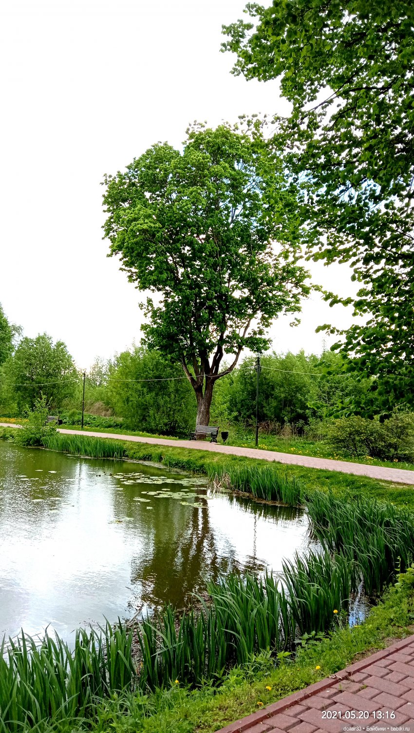 Мамин Львенок — Куклы Baboliy (Баболи