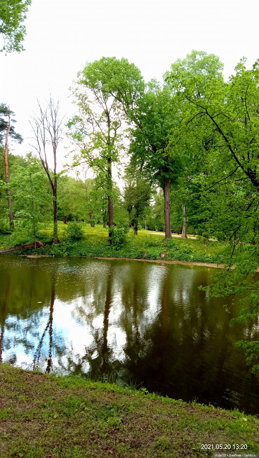 Мамин Львенок — Куклы Baboliy (Баболи