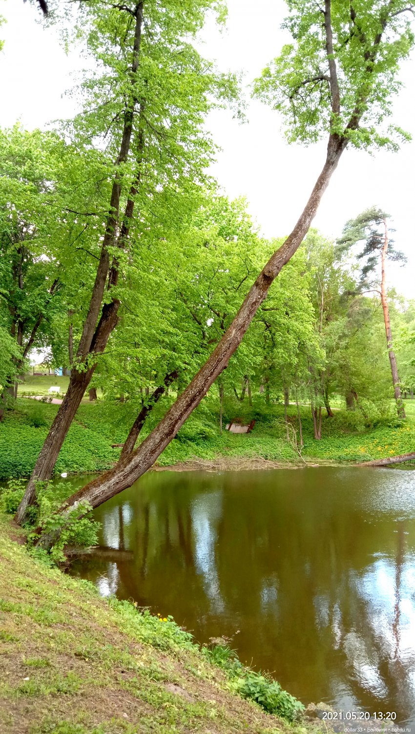 Мамин Львенок — Куклы Baboliy (Баболи