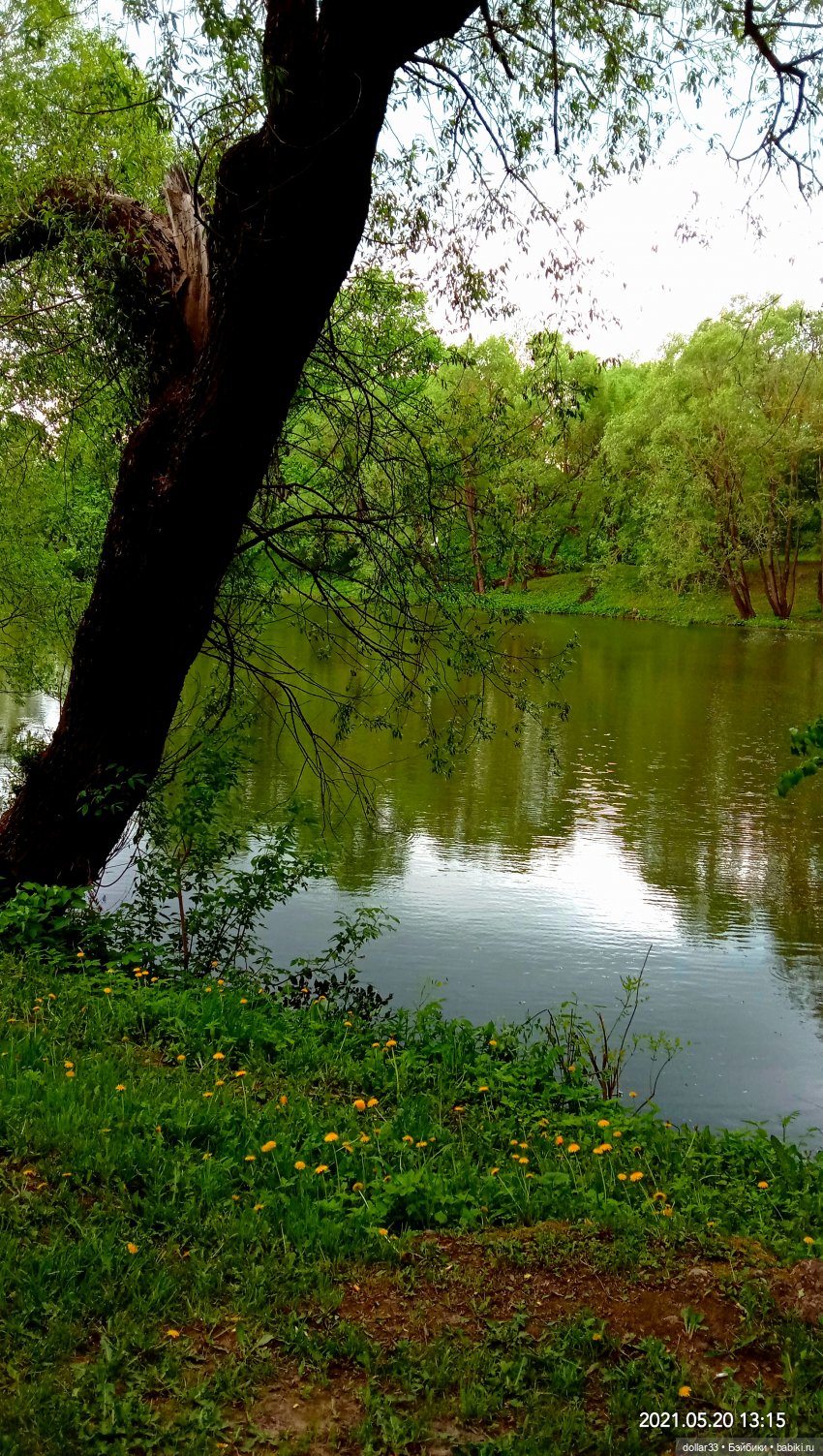 Мамин Львенок — Куклы Baboliy (Баболи