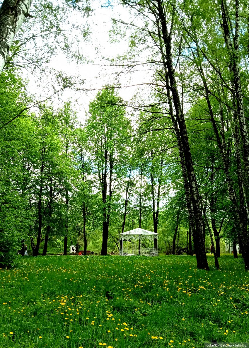 Мамин Львенок — Куклы Baboliy (Баболи