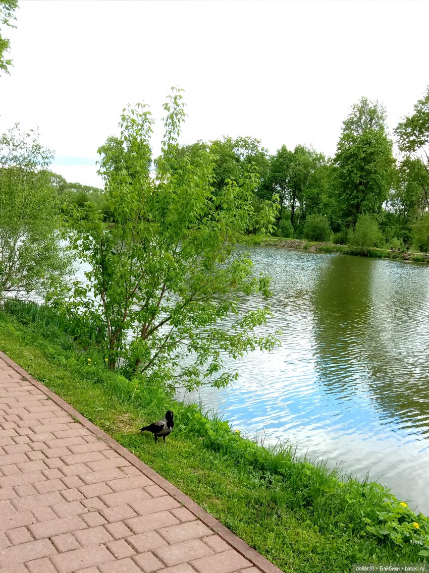 Мамин Львенок — Куклы Baboliy (Баболи