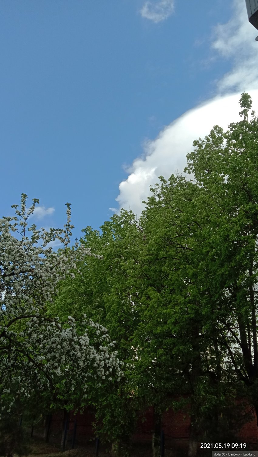 Мамин Львенок — Куклы Baboliy (Баболи