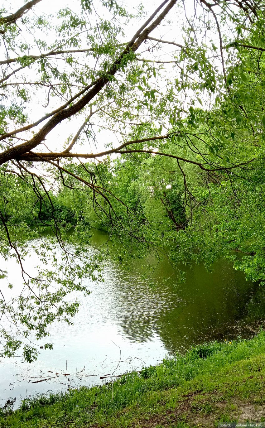 Мамин Львенок — Куклы Baboliy (Баболи