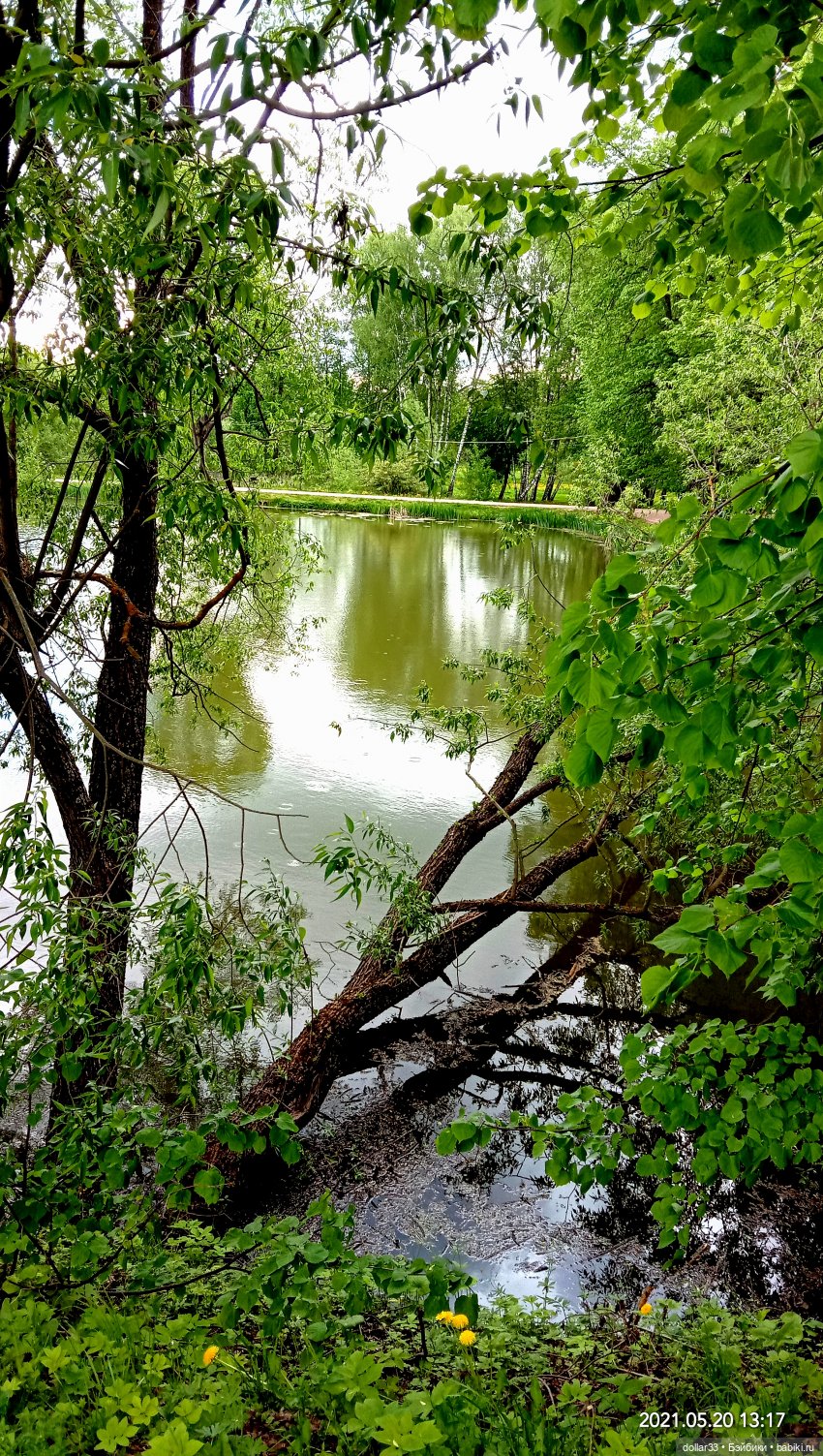 Мамин Львенок — Куклы Baboliy (Баболи