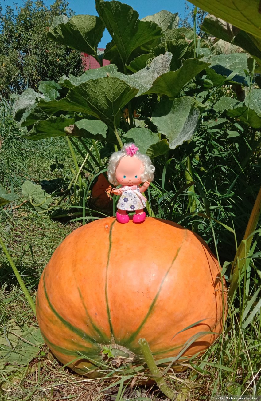 Лялечка. Моя карманная куколка