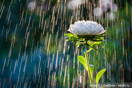 Маруся. Дождливый день — Разные шарнирные куклы (не БЖД): редкие (фото 9)