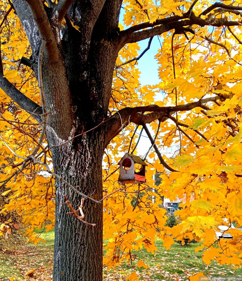 Левушка и осень — Куклы Baboliy (Баболи (фото 9)