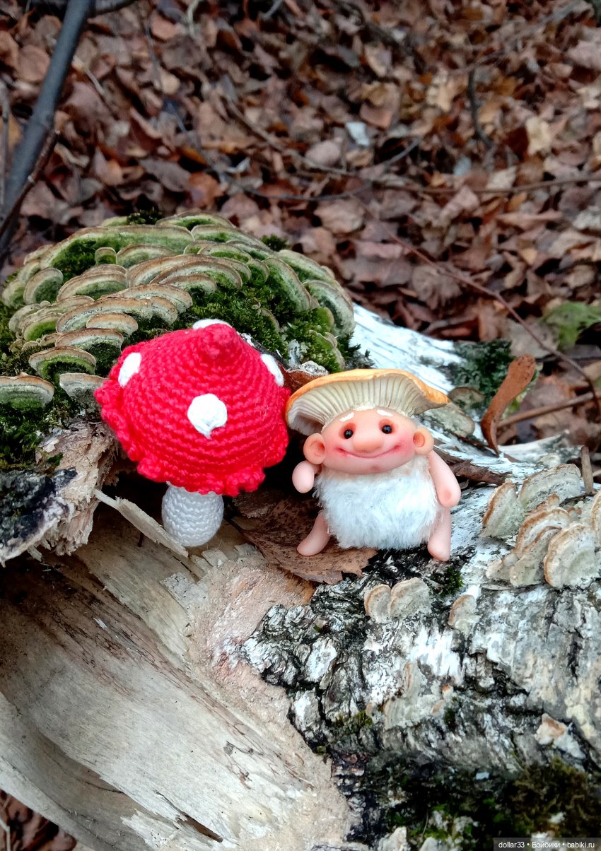 СырО и Ежка. Авторские грибочки от Елены Kolobok (фото 10)