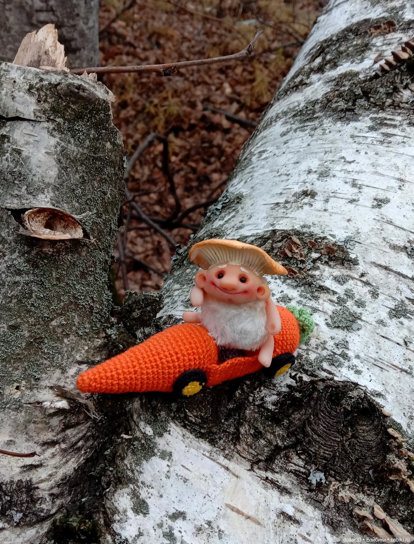 СырО и Ежка. Авторские грибочки от Елены Kolobok (фото 4)