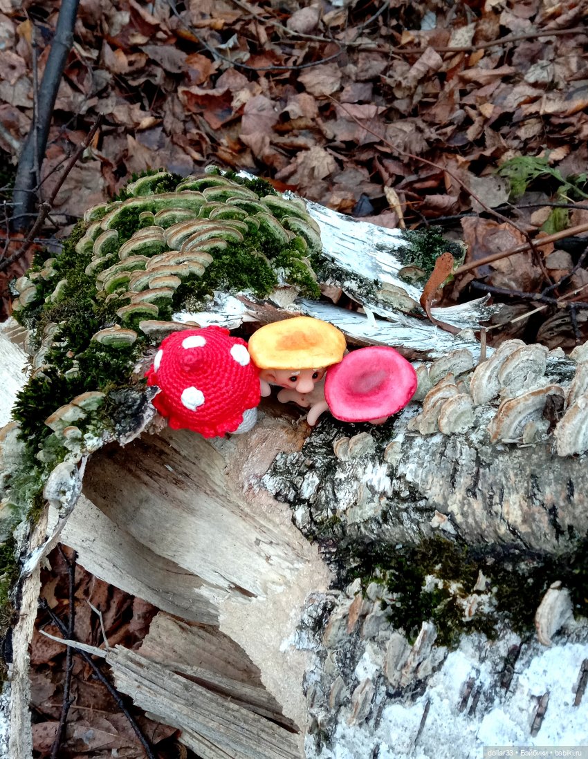 СырО и Ежка. Авторские грибочки от Елены Kolobok (фото 8)