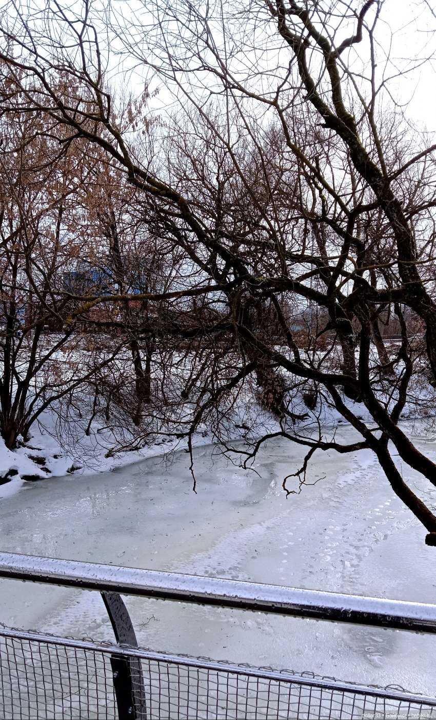 Сонечка. Прогулка в парке (фото 4)