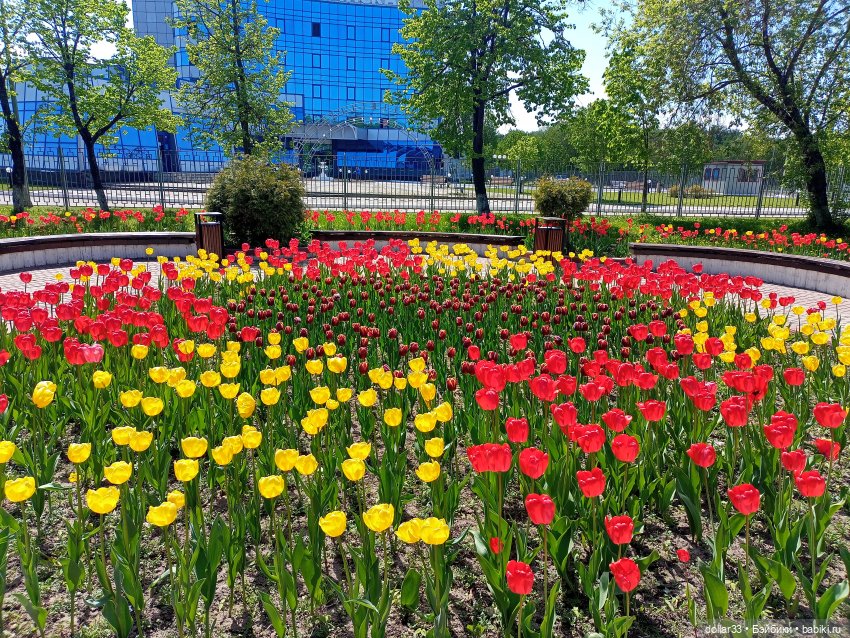 Муся. Открытие летнего сезона (фото 4)