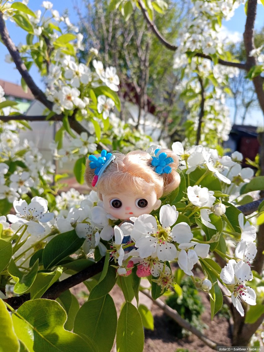 Муся. Открытие летнего сезона (фото 9)