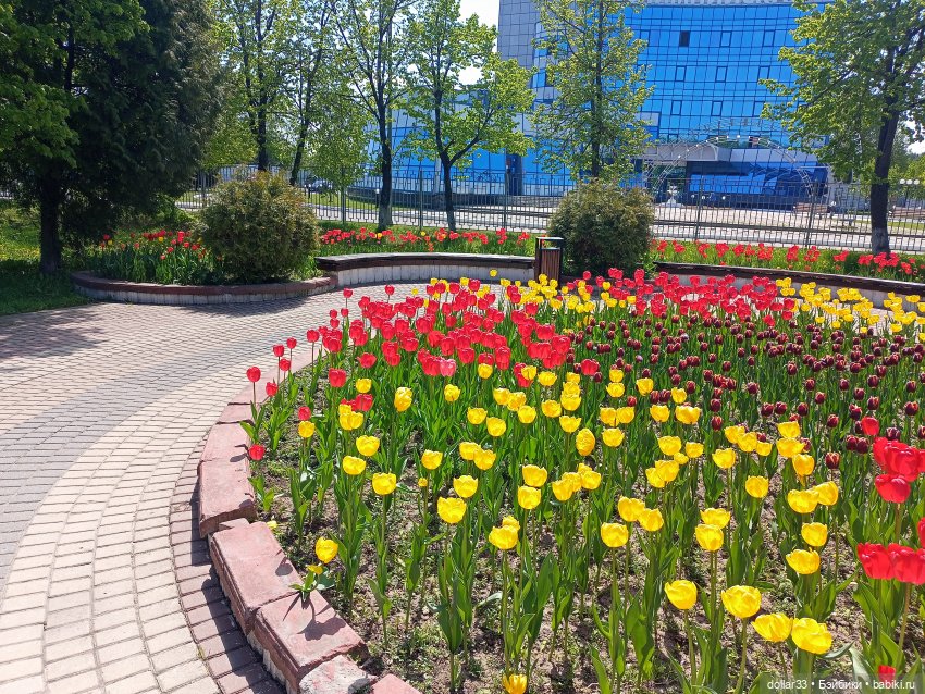 Муся. Открытие летнего сезона (фото 2)