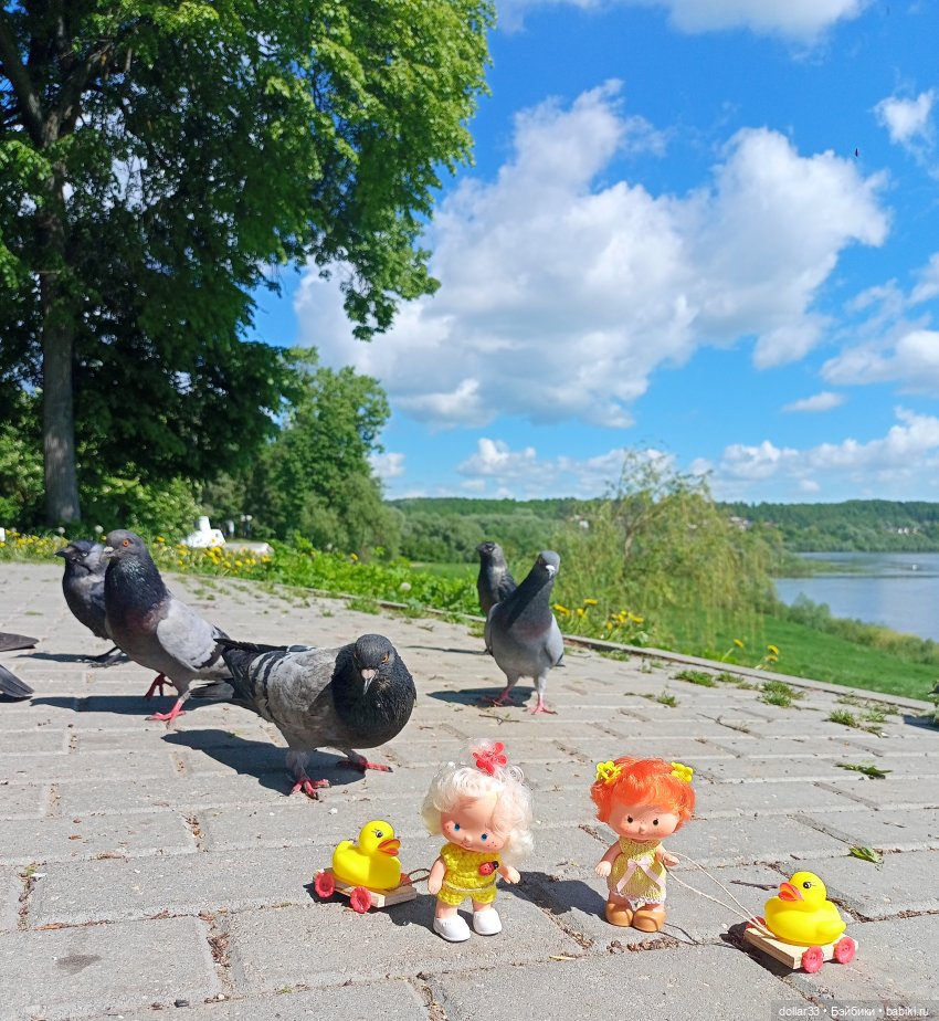 Ляля и Солнышко. Выходной. Таруса (фото 5)
