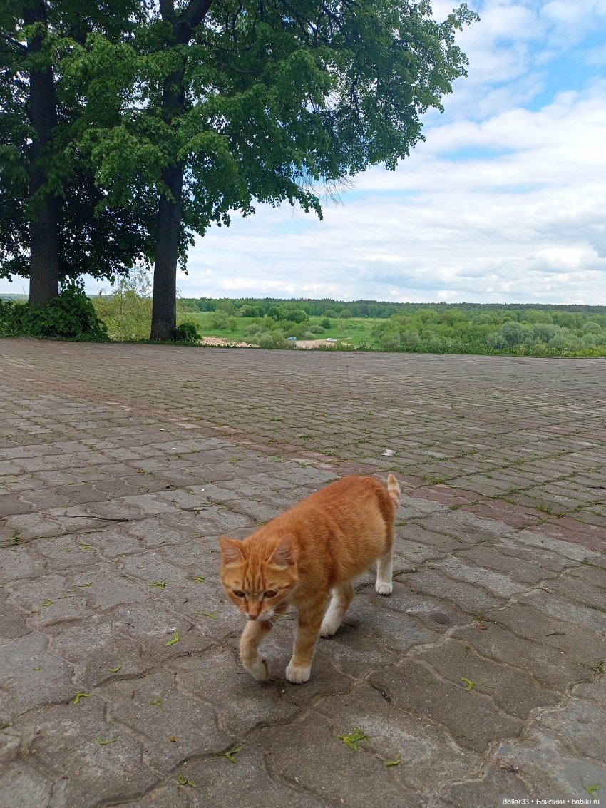 Ляля и Солнышко. Выходной. Таруса