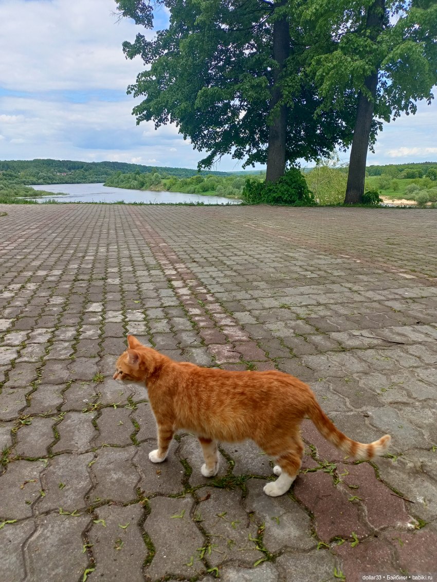 Ляля и Солнышко. Выходной. Таруса