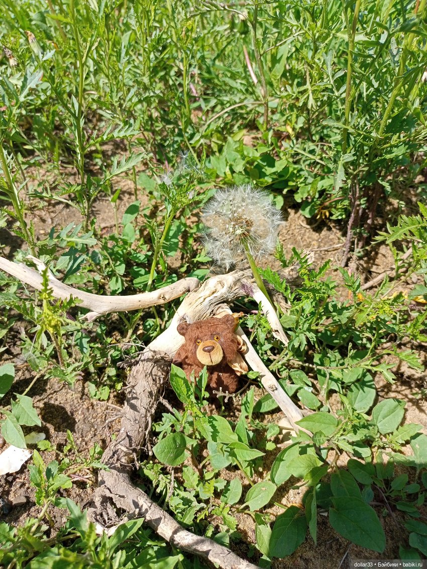 Ляля и Солнышко. Выходной. Таруса