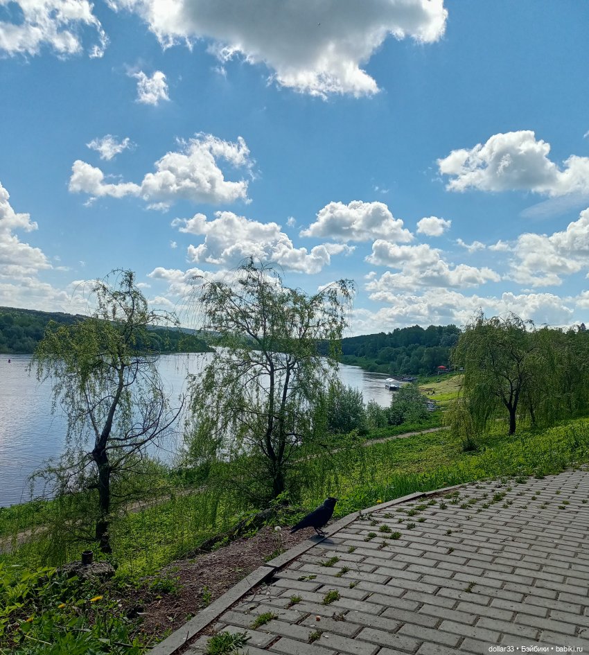 Ляля и Солнышко. Выходной. Таруса (фото 6)