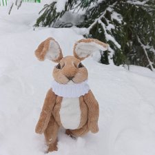 Наш новый Зайка и Ко