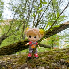 Муся и Конг. Прогулка.