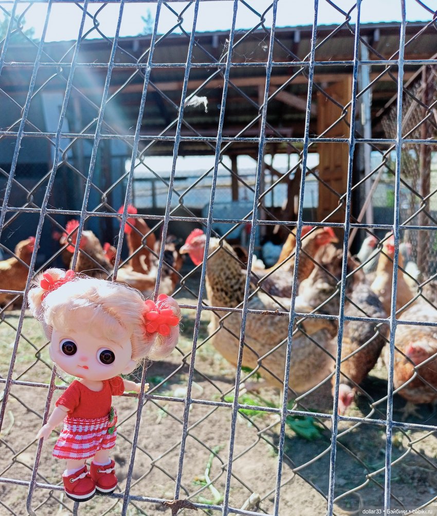 И снова, Муся — Гибриды шарнирных кукол (не БЖД): подбор тела (фото 3)