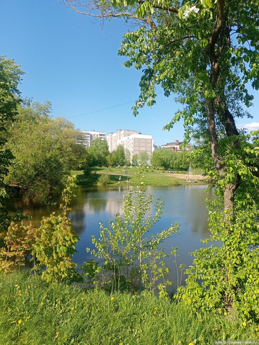 И снова, Муся — Гибриды шарнирных кукол (не БЖД): подбор тела (фото 9)