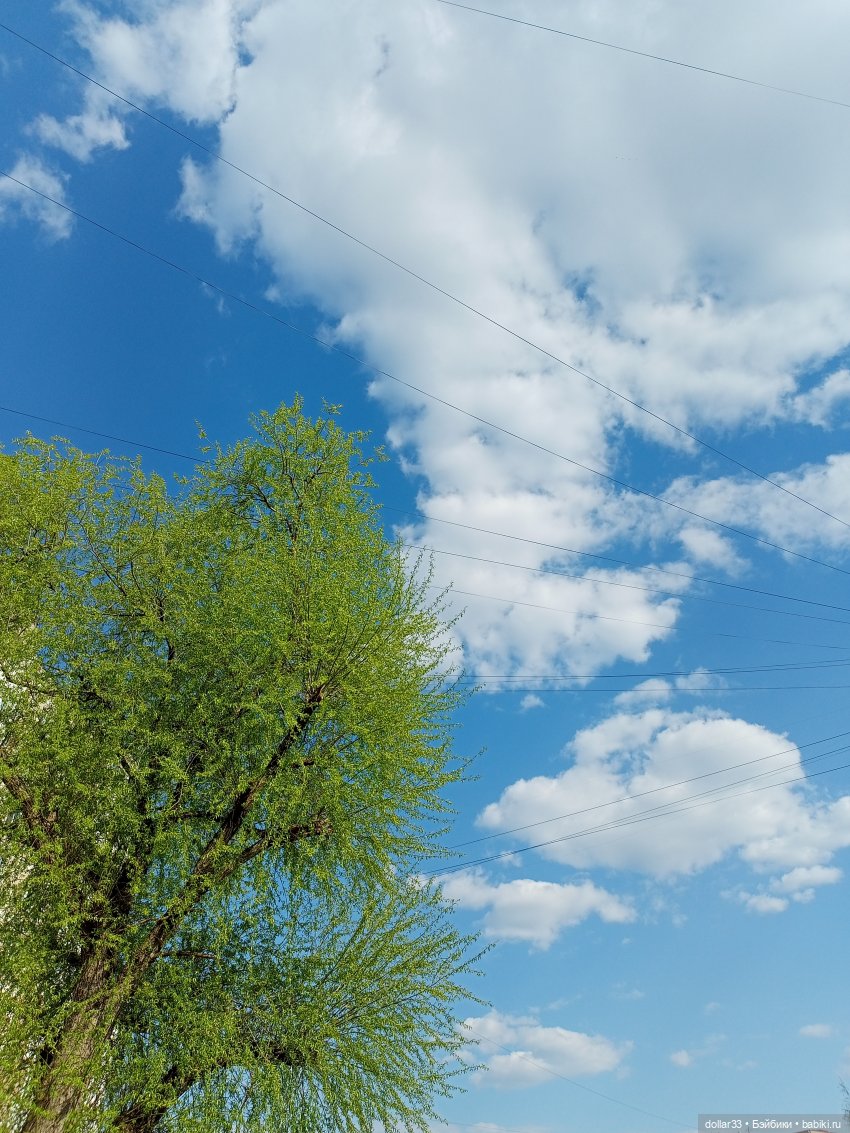 И снова, Муся — Гибриды шарнирных кукол (не БЖД): подбор тела