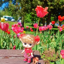 И снова, Муся!