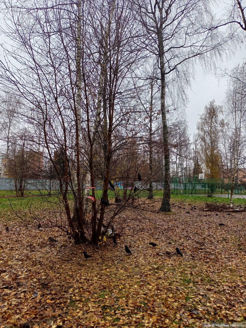 Лисик - мой милый малыш — Домашние фото авторских кукол: личные коллекции (фото 7)