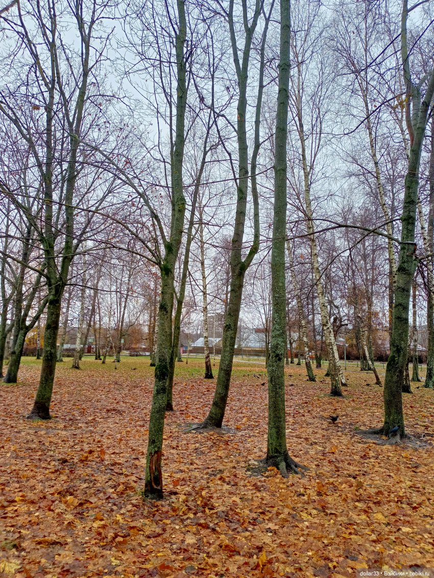 Лисик - мой милый малыш — Домашние фото авторских кукол: личные коллекции