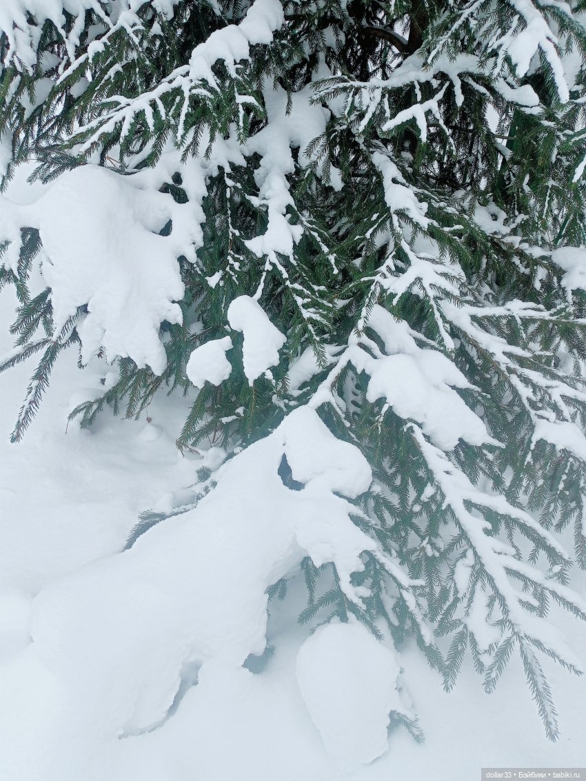 Карлуша на прогулке - Декабрь (фото 7)