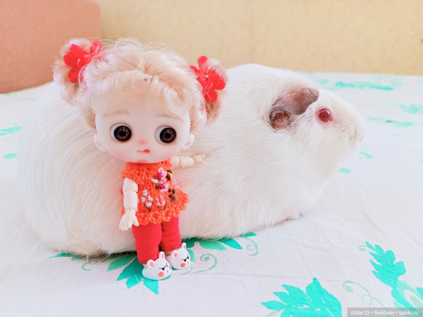 Как Муся ходила в гости — Разные шарнирные куклы (не БЖД): редкие (фото 10)
