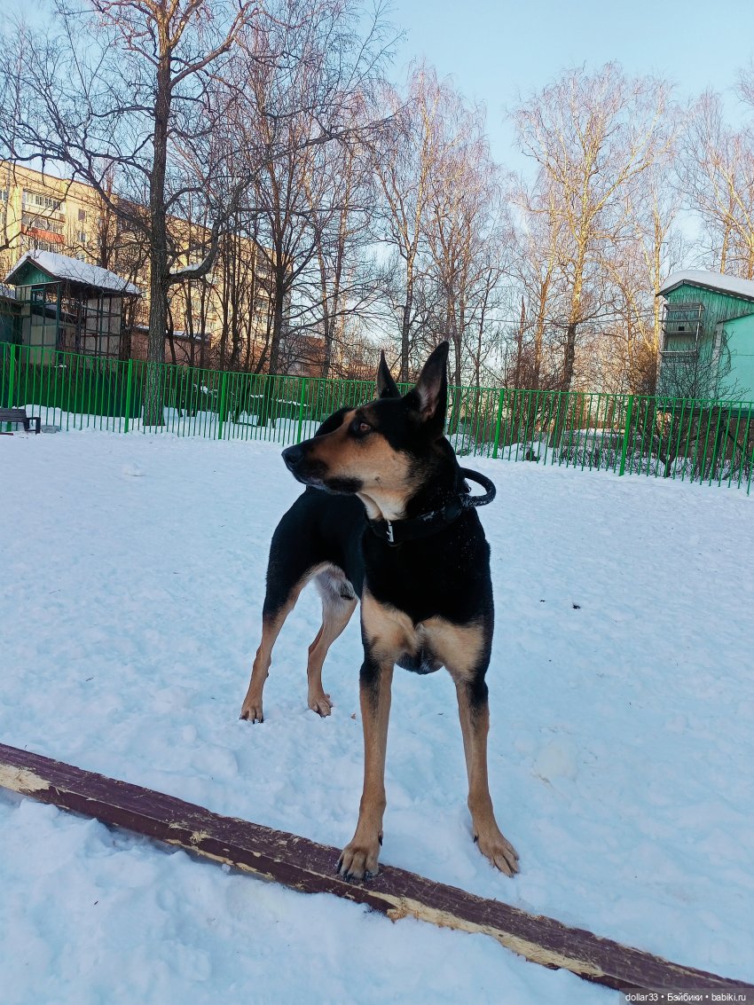 Как Муся ходила в гости — Разные шарнирные куклы (не БЖД): редкие