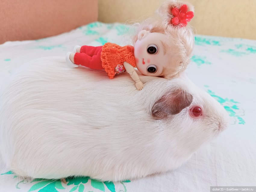 Как Муся ходила в гости — Разные шарнирные куклы (не БЖД): редкие