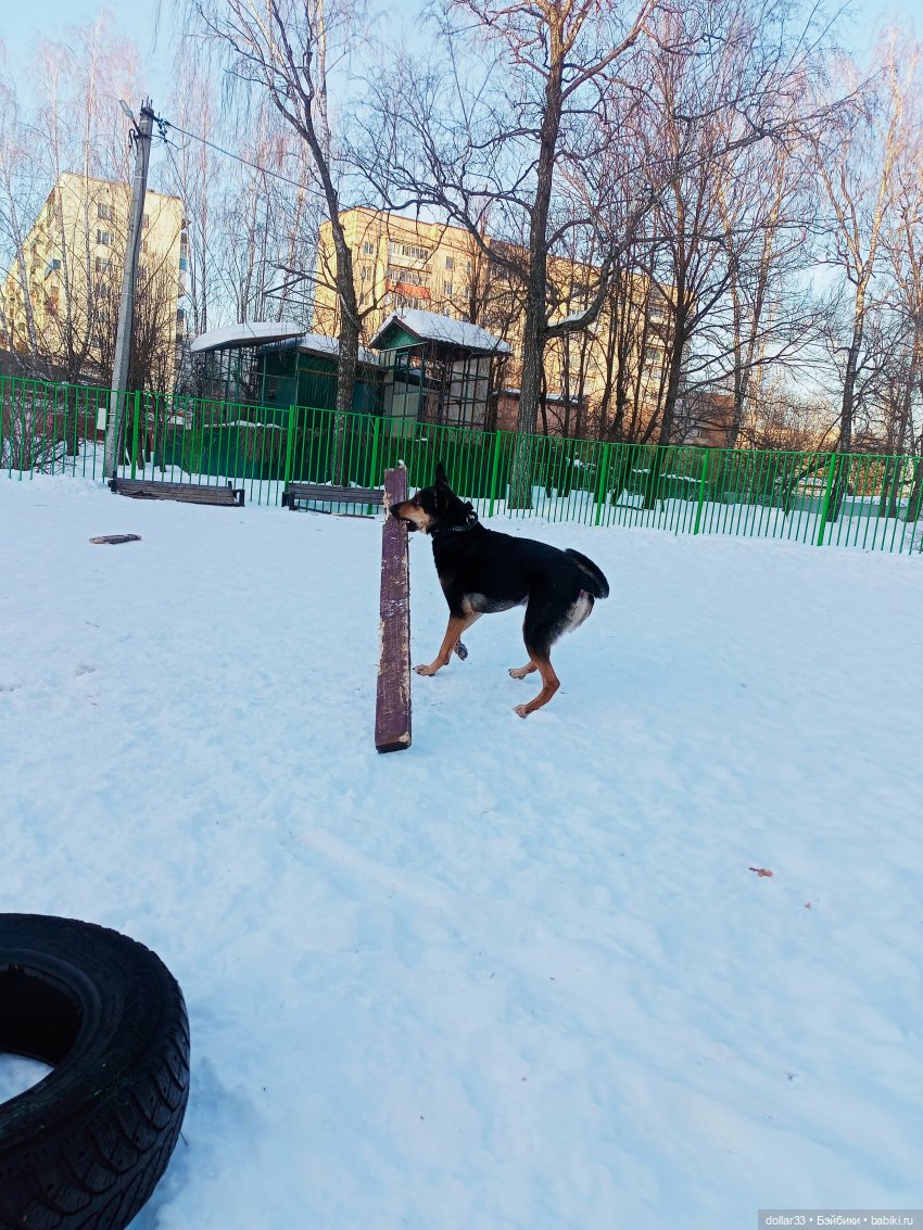 Как Муся ходила в гости — Разные шарнирные куклы (не БЖД): редкие