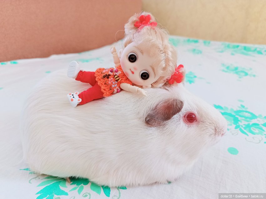 Как Муся ходила в гости — Разные шарнирные куклы (не БЖД): редкие