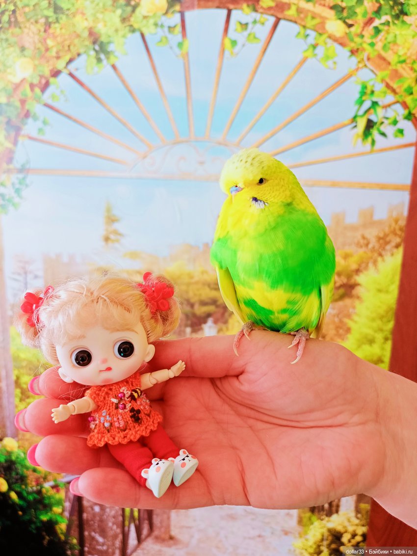 Как Муся ходила в гости — Разные шарнирные куклы (не БЖД): редкие