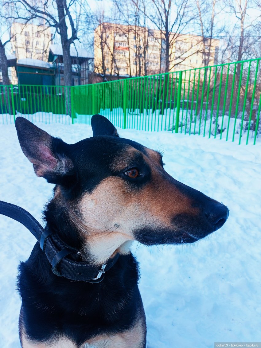 Как Муся ходила в гости — Разные шарнирные куклы (не БЖД): редкие