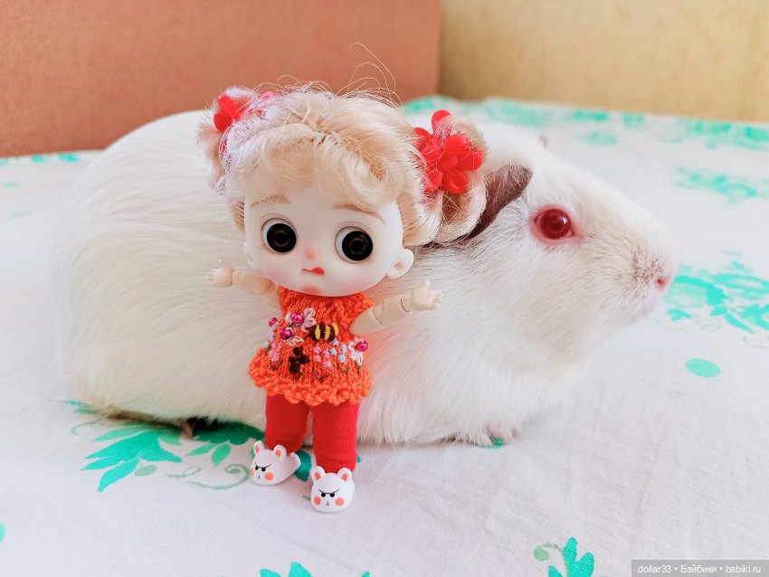 Как Муся ходила в гости — Разные шарнирные куклы (не БЖД): редкие (фото 9)
