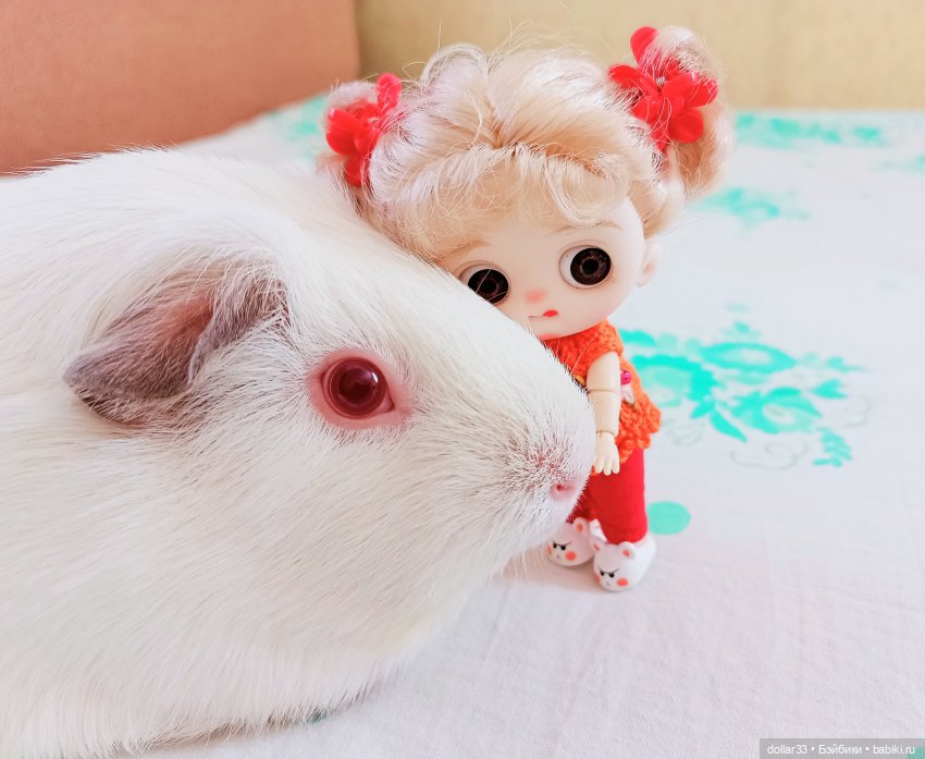 Как Муся ходила в гости — Разные шарнирные куклы (не БЖД): редкие