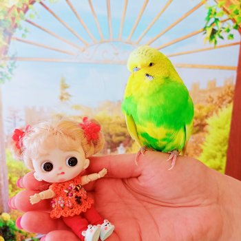 Как Муся ходила в гости