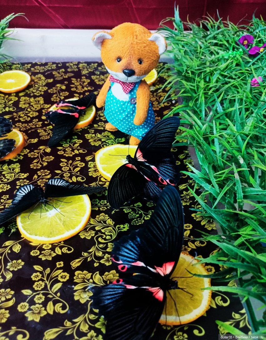 Как Фоксик ходил в гости к бабочкам (фото 7)