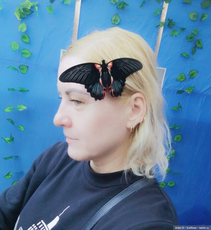 Как Фоксик ходил в гости к бабочкам (фото 6)